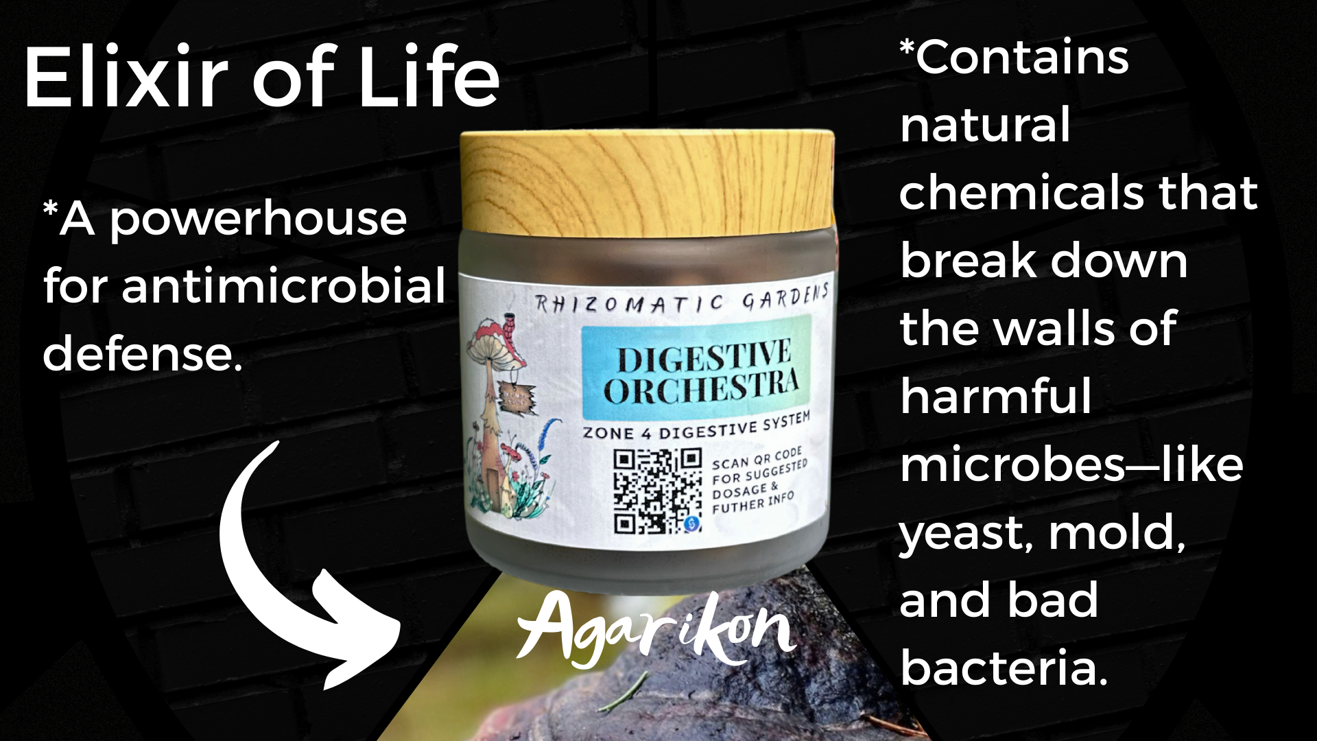 DIGESTIVE ORCHESTRA - GUT & MICROBIOME SUPPORT