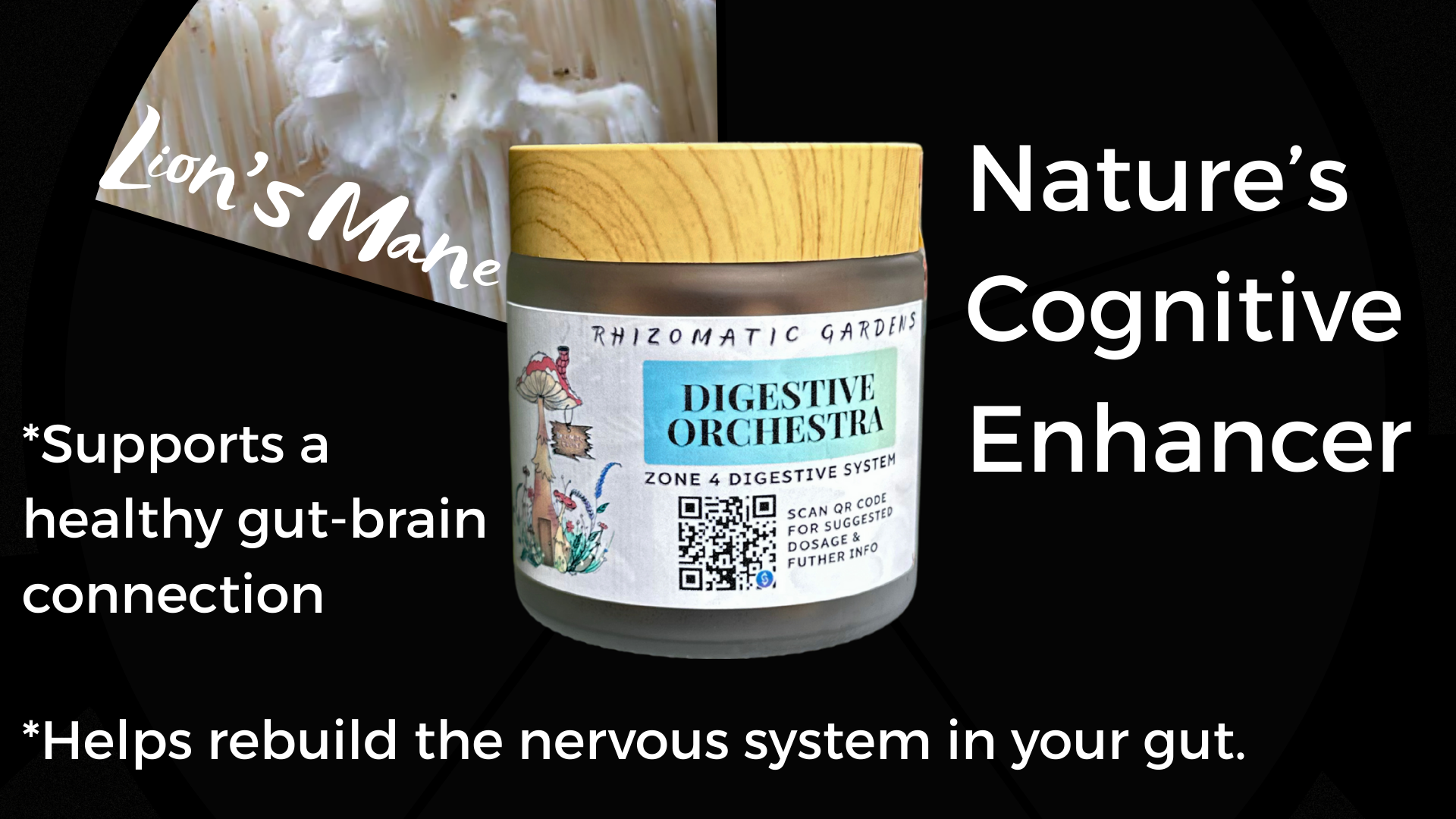 DIGESTIVE ORCHESTRA - GUT & MICROBIOME SUPPORT