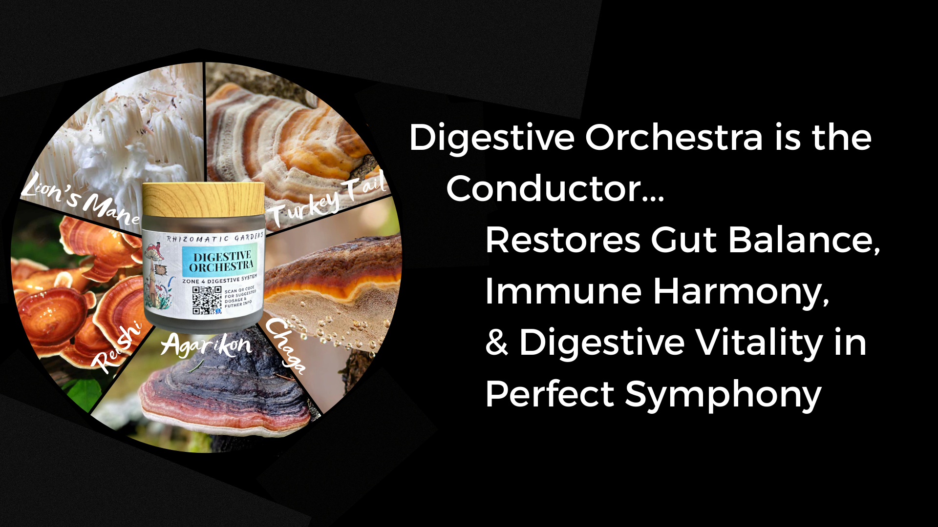 DIGESTIVE ORCHESTRA - GUT & MICROBIOME SUPPORT