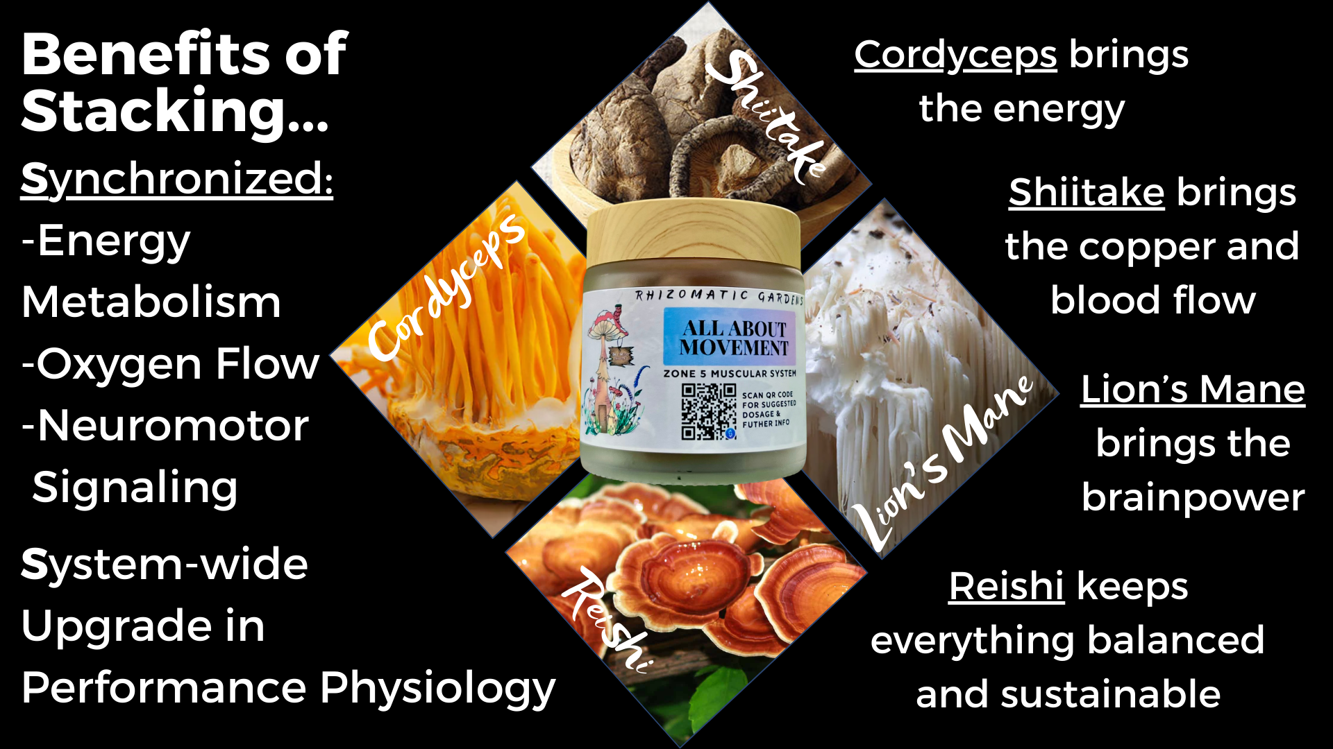 ALL ABOUT MOVEMENT - ALL-DAY ENERGY SUPPORT