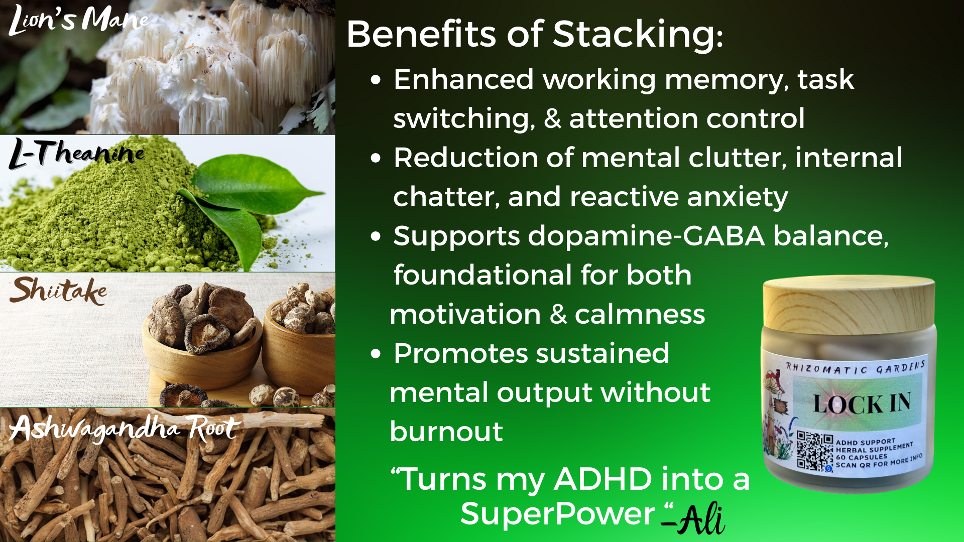 LOCK IN - ADHD & FOCUS SUPPORT