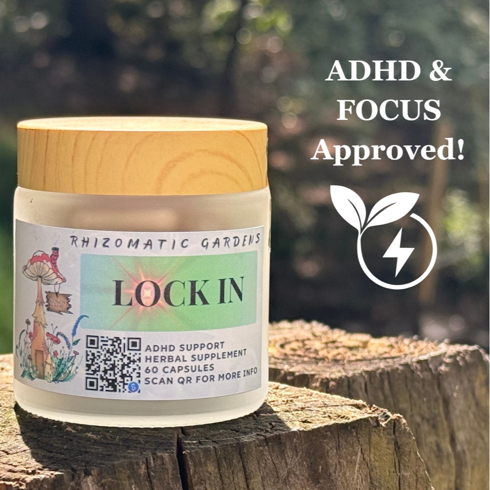 LOCK IN - ADHD & FOCUS SUPPORT