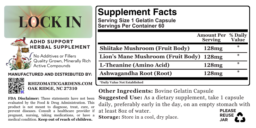 LOCK IN - ADHD & FOCUS SUPPORT