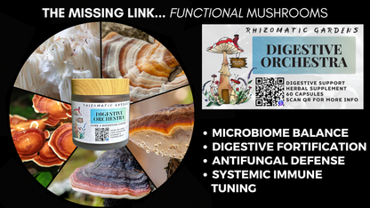 DIGESTIVE ORCHESTRA - GUT & MICROBIOME SUPPORT