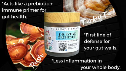 DIGESTIVE ORCHESTRA - GUT & MICROBIOME SUPPORT