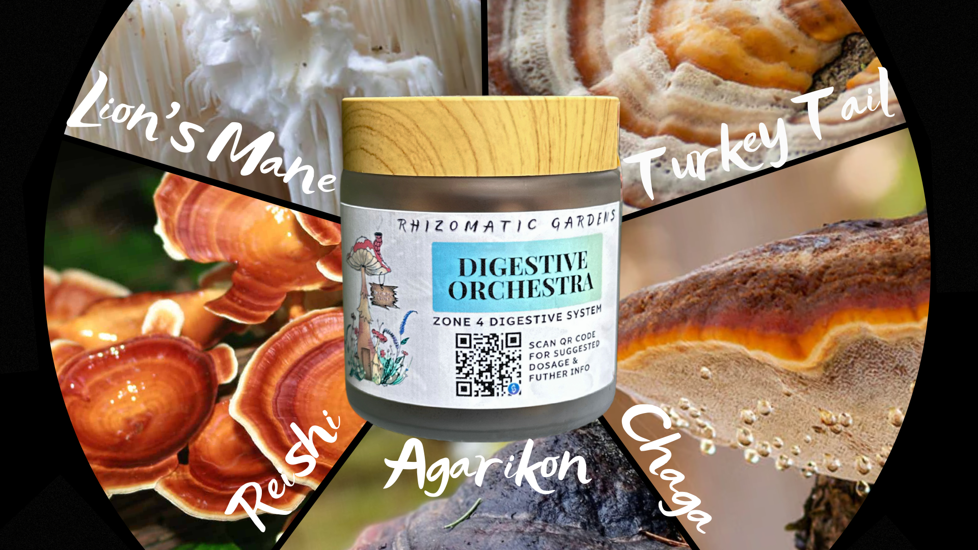 DIGESTIVE ORCHESTRA - GUT & MICROBIOME SUPPORT