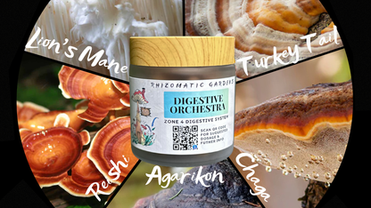 DIGESTIVE ORCHESTRA - GUT & MICROBIOME SUPPORT