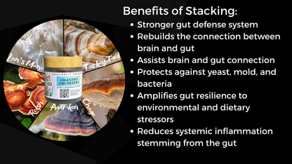 DIGESTIVE ORCHESTRA - GUT & MICROBIOME SUPPORT