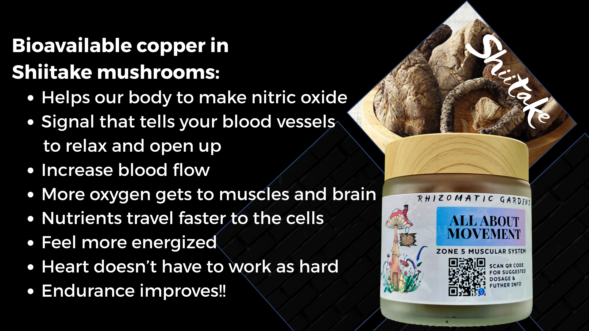 ALL ABOUT MOVEMENT - ALL-DAY ENERGY SUPPORT