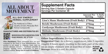 ALL ABOUT MOVEMENT - ALL-DAY ENERGY SUPPORT