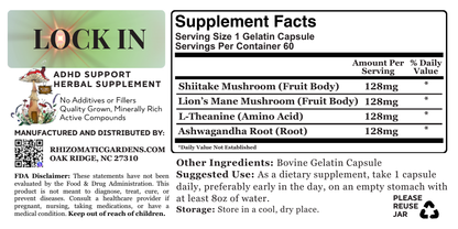 LOCK IN - ADHD & FOCUS SUPPORT
