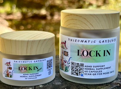 LOCK IN - ADHD & FOCUS SUPPORT