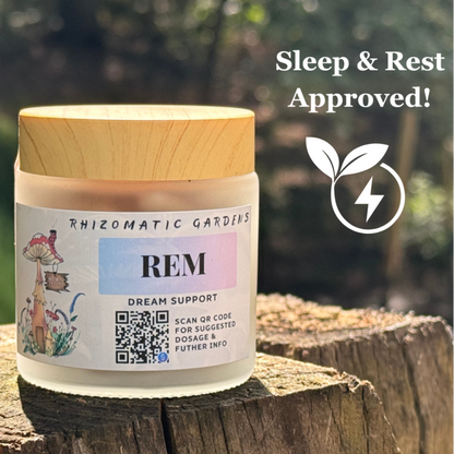 REM - DREAM SUPPORT