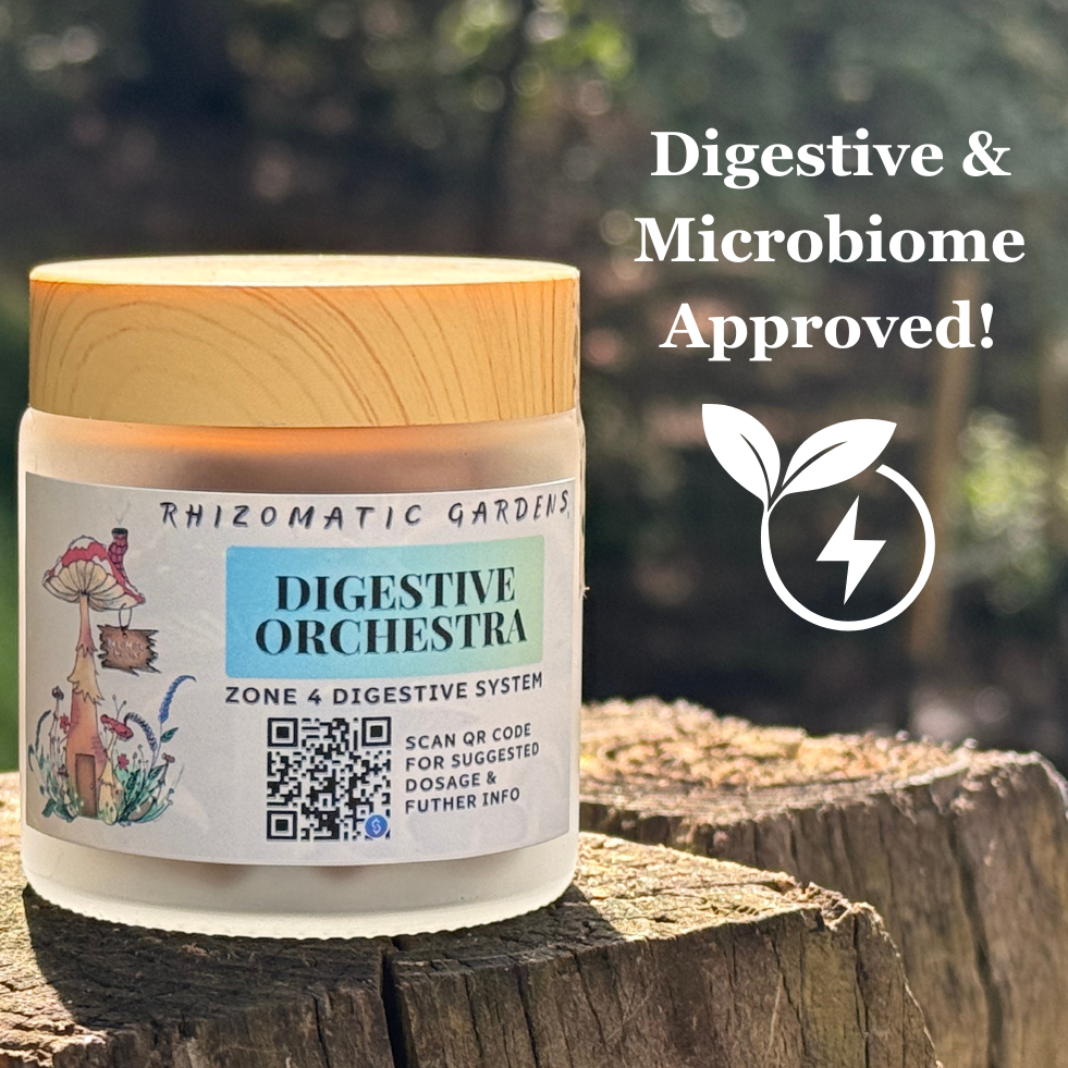 DIGESTIVE ORCHESTRA - GUT & MICROBIOME SUPPORT