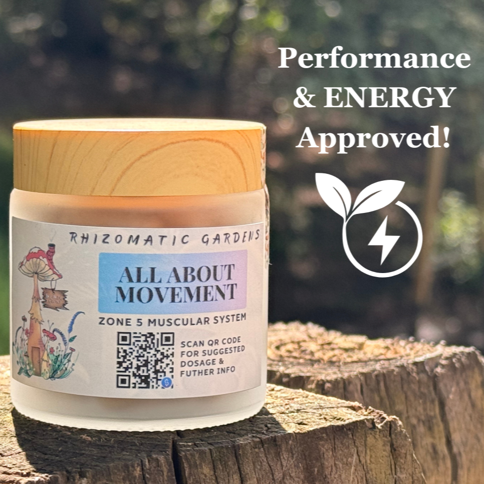 ALL ABOUT MOVEMENT - ALL-DAY ENERGY SUPPORT