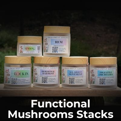 Functional mushroom stacks from Rhizomatic Gardens by Scott E. Burgess, part of the BALANCED Ecosystem to support immunity, energy, and healing.